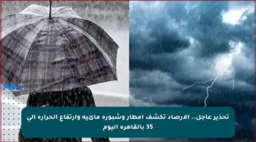 تحذير عاجل.. الأرصاد تكشف أمطار وشبورة مائية وارتفاع الحرارة إلى 35 بالقاهرة اليوم